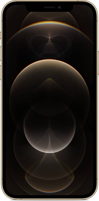 iPhone 12 Pro