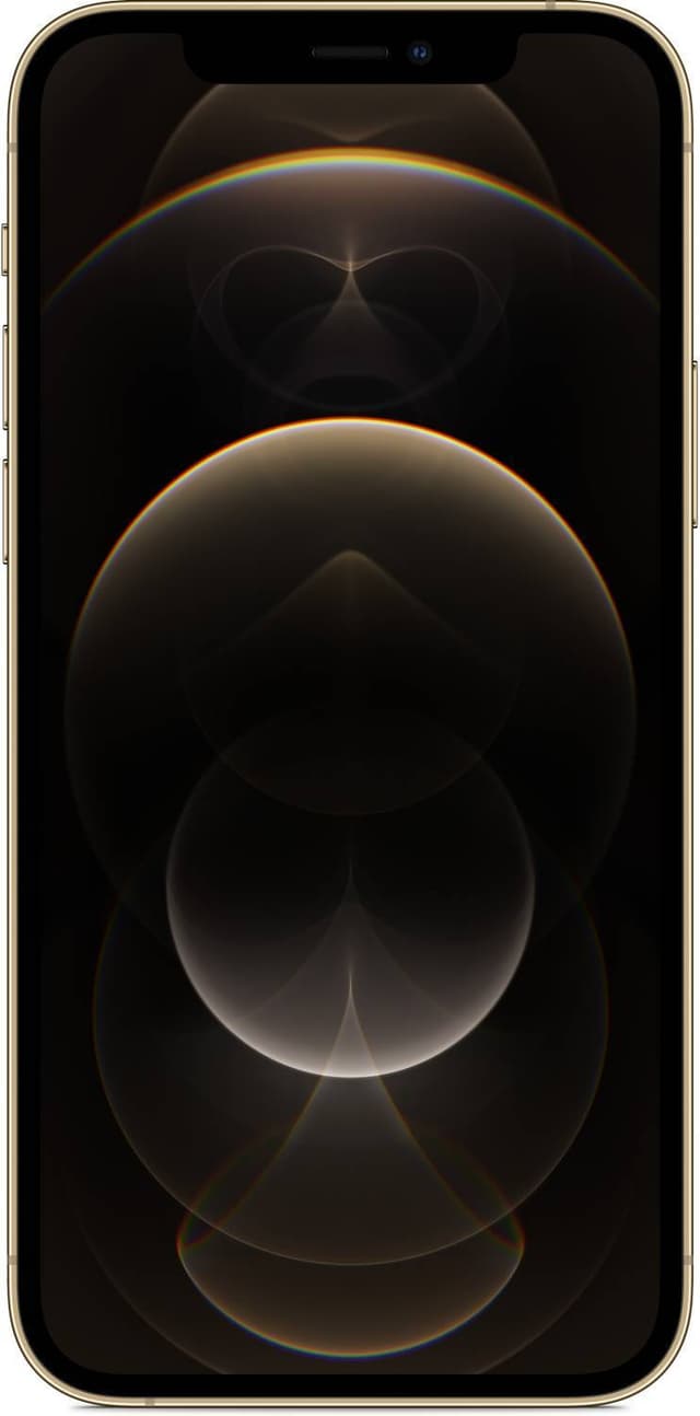 iPhone 12 Pro