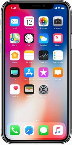 iPhone X