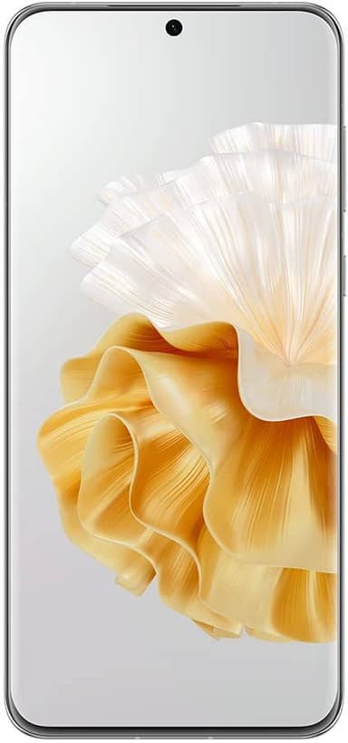P60 Pro