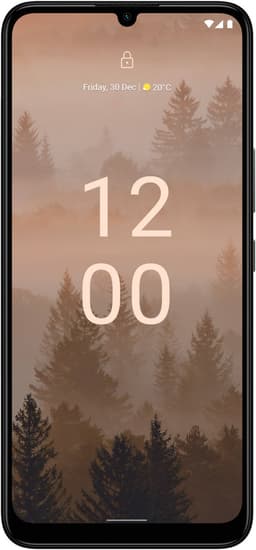C31