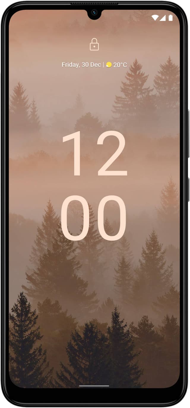 C31