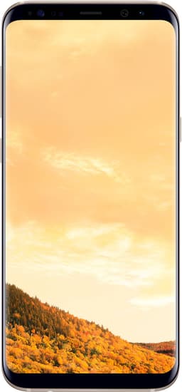 Galaxy S8+