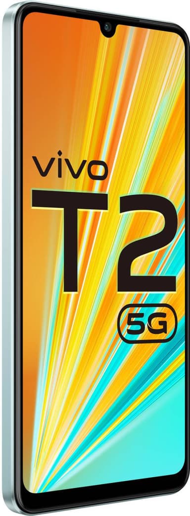 T2