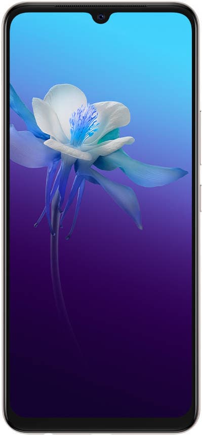 V20